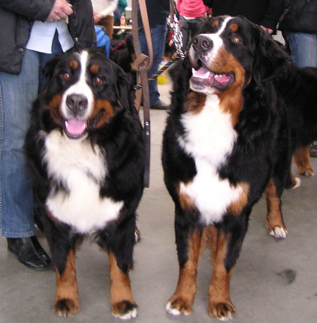 Gita & Imke, 13 maart 2010